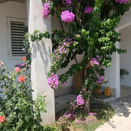 Apartment Anamaria Daire *